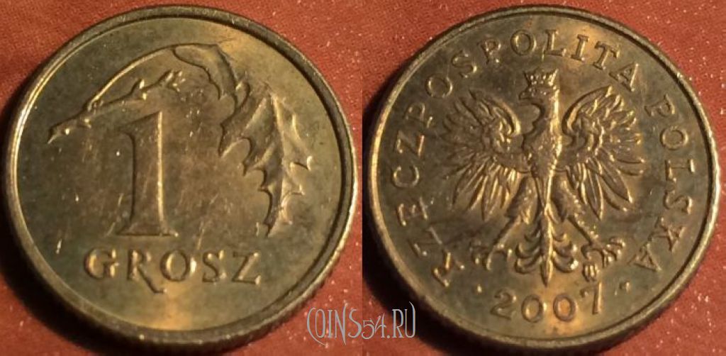 Монета Польша 1 грош 2007 год, Y# 276, 47-181