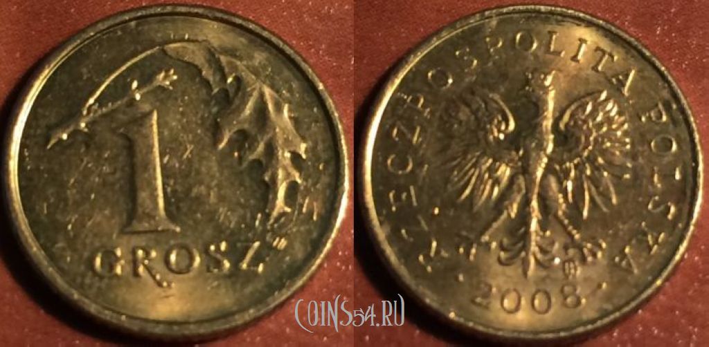 Монета Польша 1 грош 2008 года, 49-008