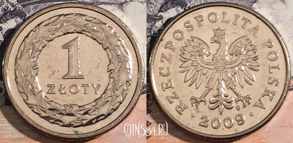 Монета Польша 1 злотый 2009 года, Y# 282, a143-039
