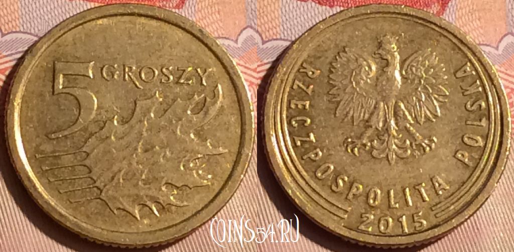 Монета Польша 5 грошей 2015 года, Y# 925, 446-063