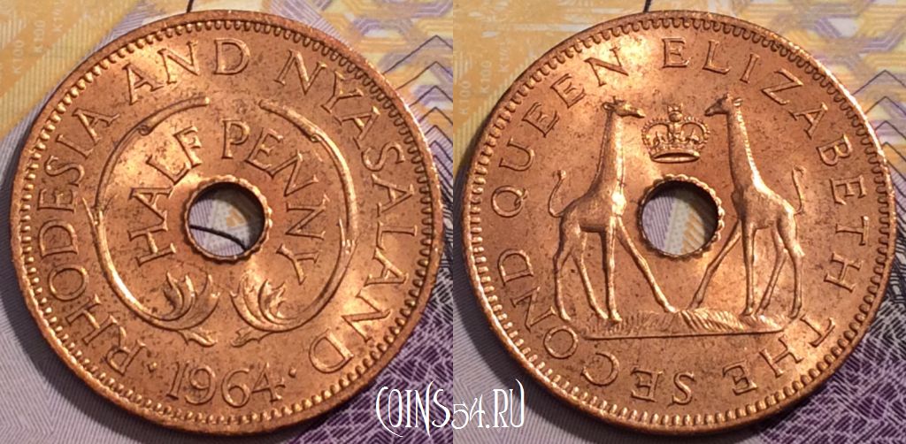 Монета Родезия и Ньясаленд 1/2 пенни 1964 года, KM# 1, 235-028