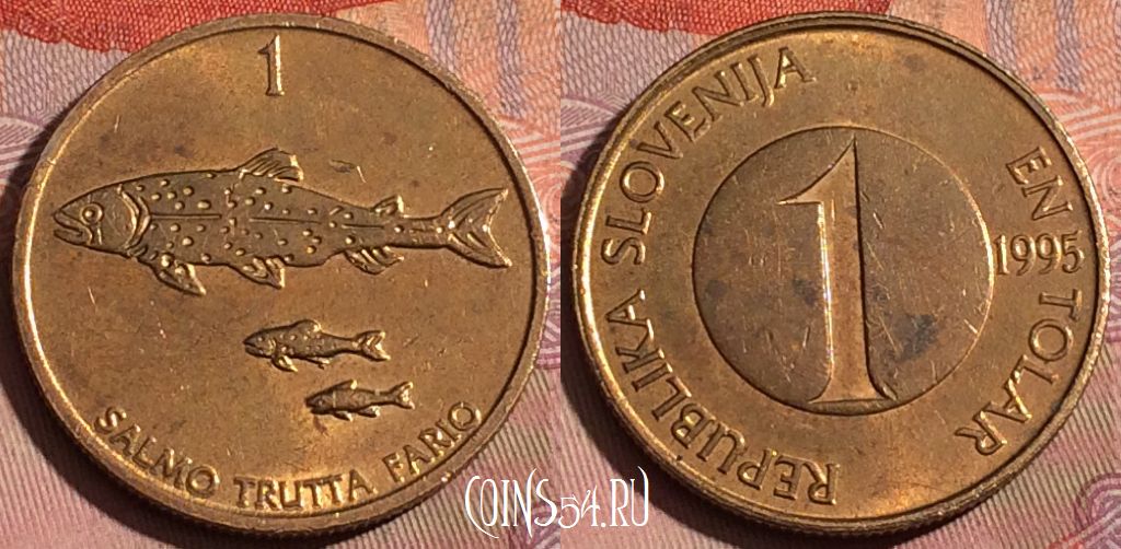 Монета Словения 1 толар 1995 года, KM# 4, 225b-020