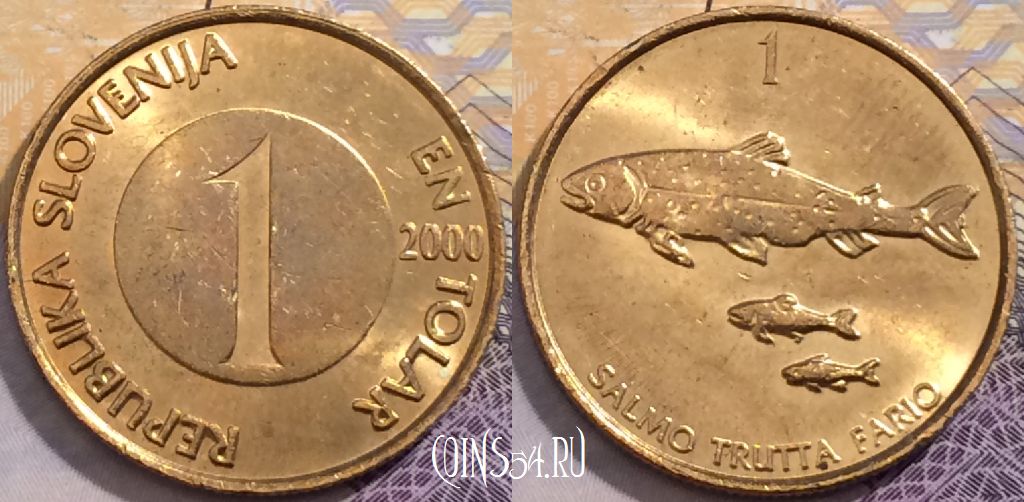Монета Словения 1 толар 2000 года, KM# 4, 199-001