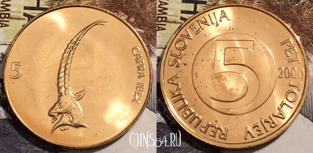 Монета Словения 5 толаров 2000 года, KM# 6, 240-057