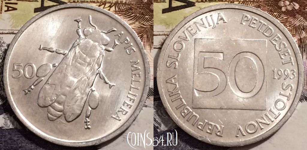 Монета Словения 50 стотинов 1993 года, KM# 3, 240-073