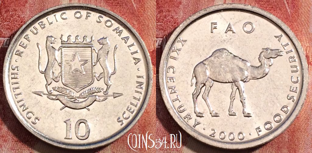 Монета Сомали 10 шиллингов 2000 года, KM# 46, 231-003