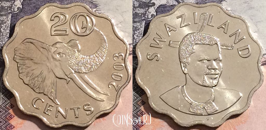 Монета Свазиленд 20 центов 2003 года, KM# 50.2, 171-137