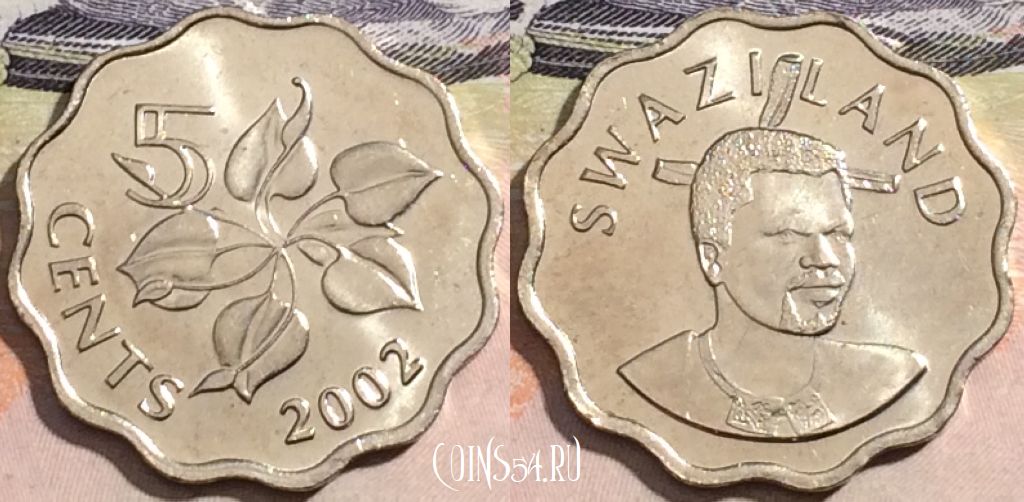 Монета Свазиленд 5 центов 2002 года, KM# 48, UNC, 172-020