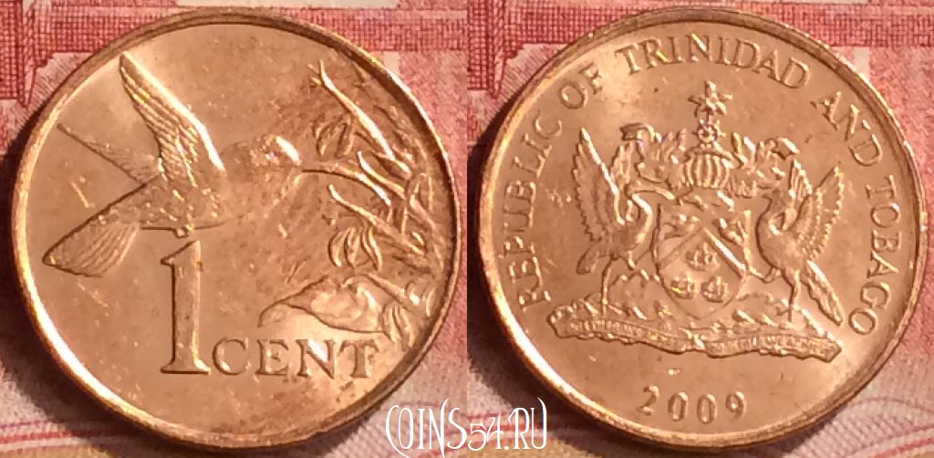 Монета Тринидад и Тобаго 1 цент 2009 года, KM# 29, 202m-071