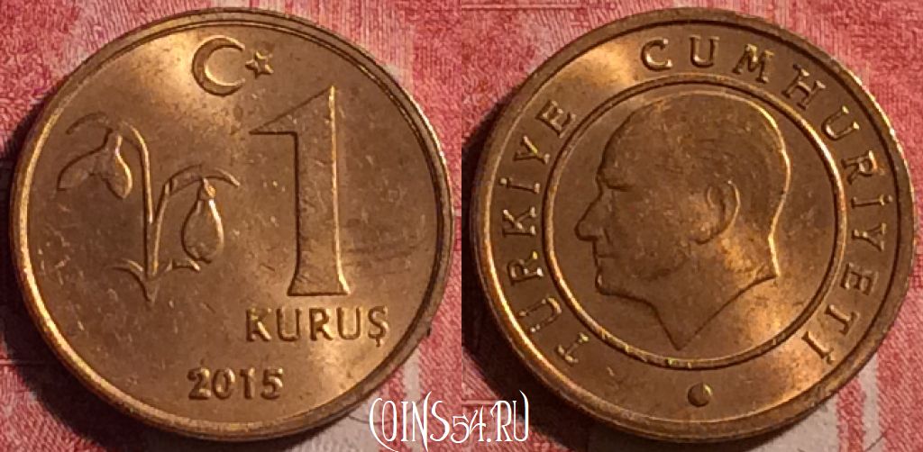 Монета Турция 1 куруш 2015 года, KM# 1239, 188j-078