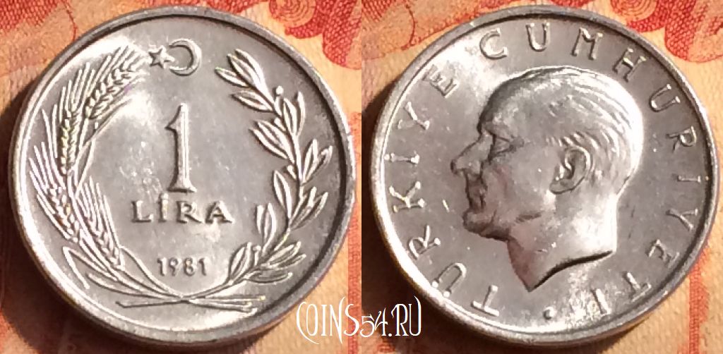 Монета Турция 1 лира 1981 года, KM# 943, 403o-024