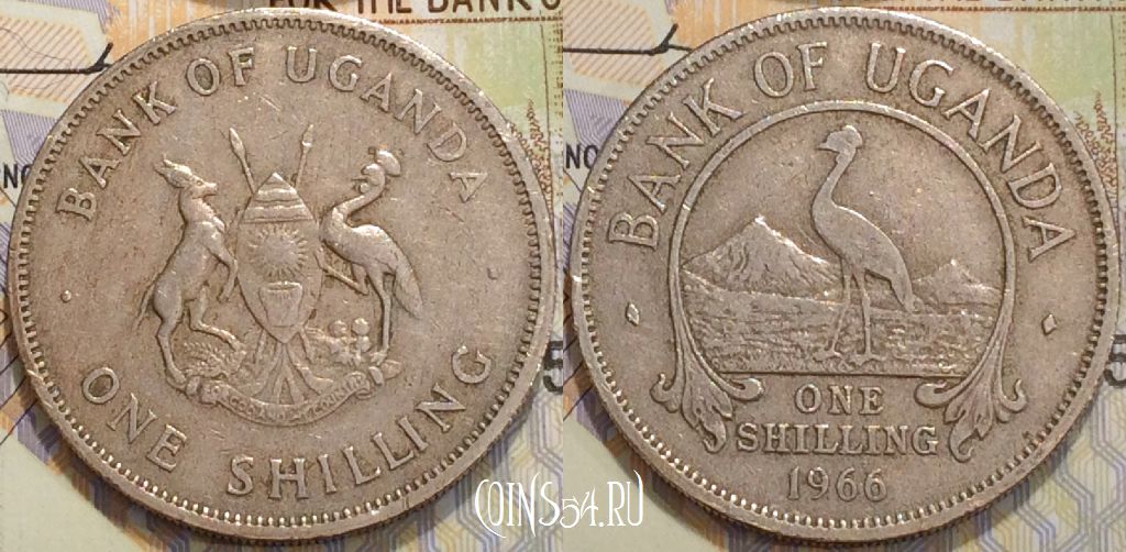 Монета Уганда 1 шиллинг 1966 года, 126-050