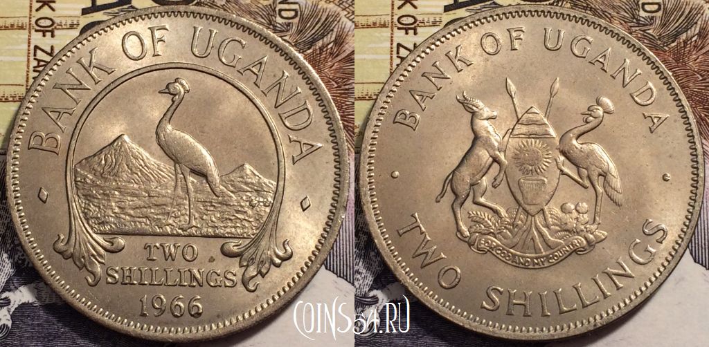 Монета Уганда 2 шиллинга 1966 года, КМ# 6, 245-008