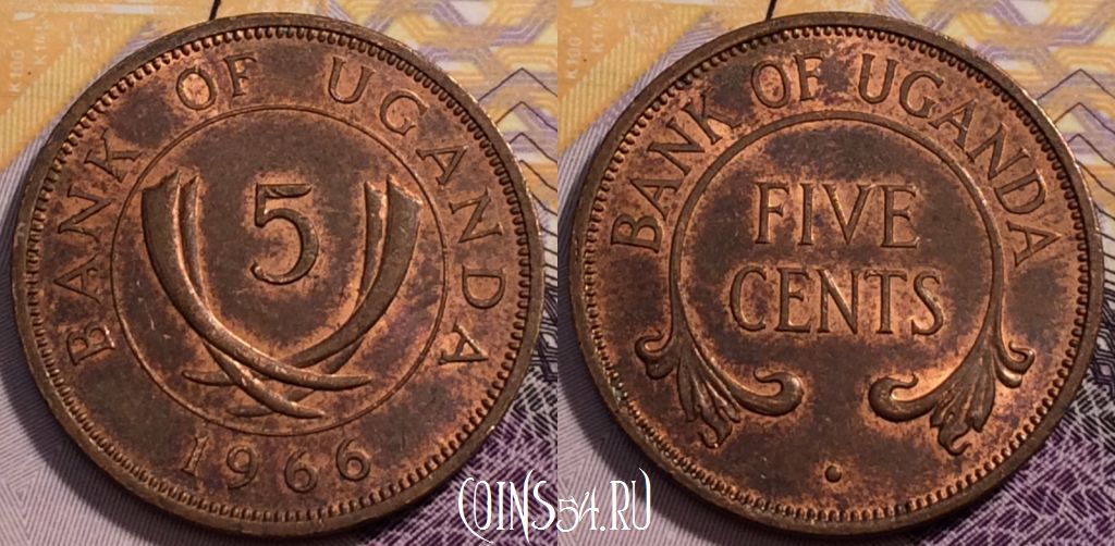 Монета Уганда 5 центов 1966 года, KM# 1, 232-085