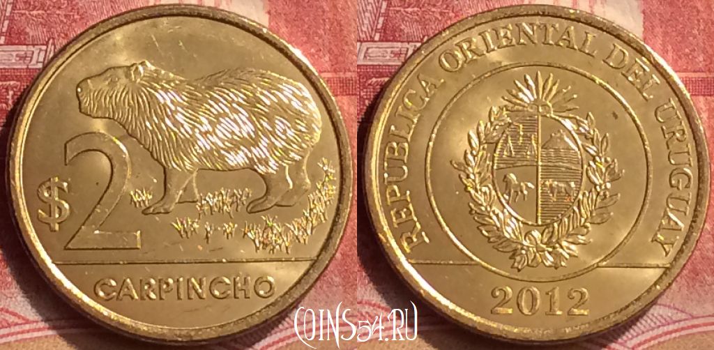 Монета Уругвай 2 песо 2012 года, KM# 136, 176m-069