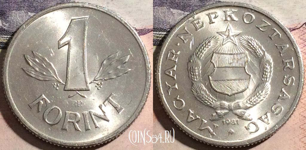 Монета Венгрия 1 форинт 1981 года, KM# 575, 168-049