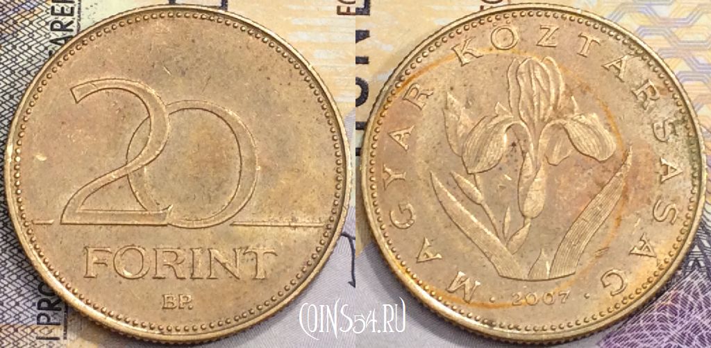 Монета Венгрия 20 форинтов 2007 года, KM# 696, a094-005