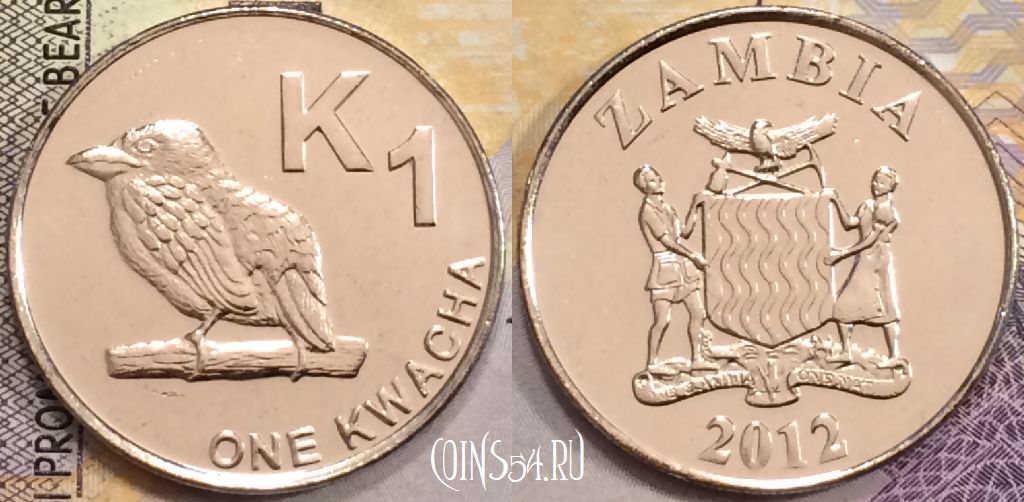 Монета Замбия 1 квача 2012 года, КМ# 209, UNC, 155-062