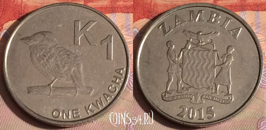 Монета Замбия 1 квача 2015 года, КМ# 209, 325-142
