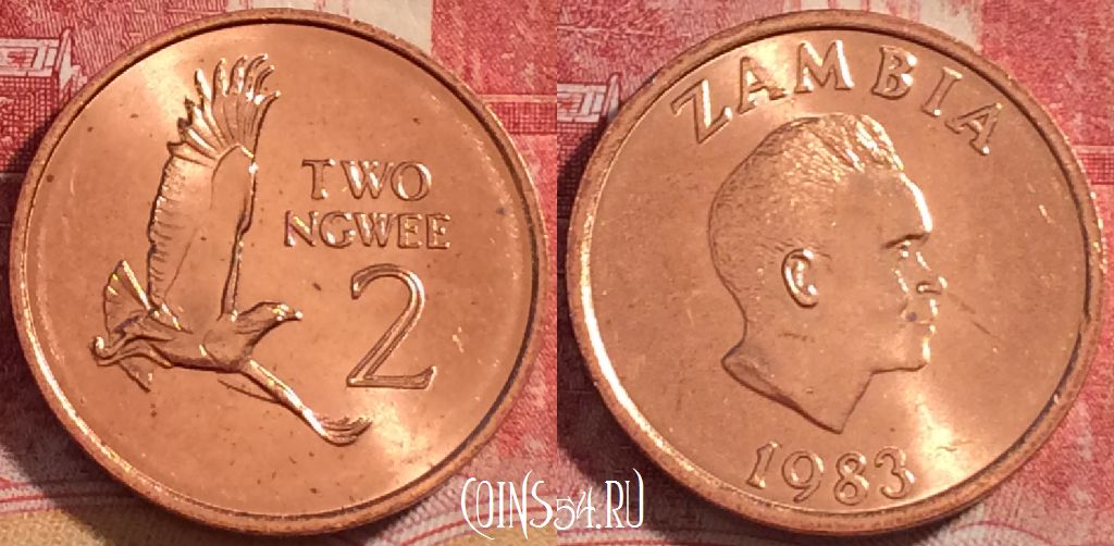 Монета Замбия 2 нгве 1983 года, KM# 10а, 261-088