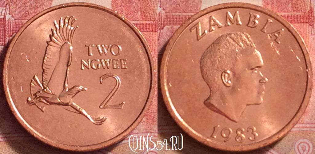 Монета Замбия 2 нгве 1983 года, KM# 10а, 268j-144