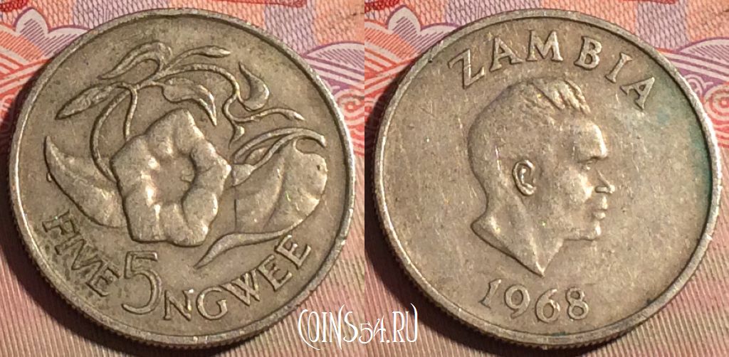 Монета Замбия 5 нгве 1968 года, КМ# 11, 223a-079