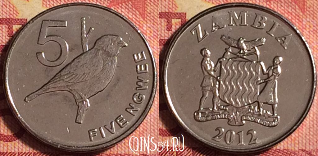 Монета Замбия 5 нгве 2012 года, КМ# 205, 176j-059