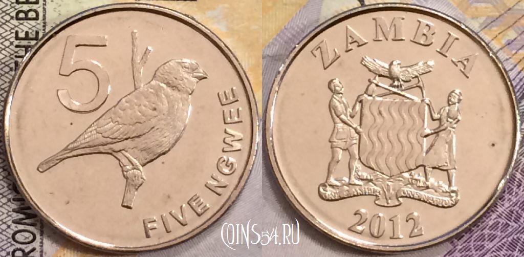 Монета Замбия 5 нгве 2012 года, КМ# 205, UNC, 155-070