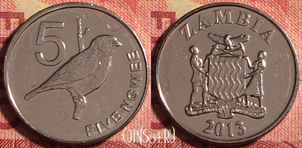 Монета Замбия 5 нгве 2013 года, КМ# 205, 168j-022