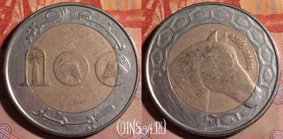 Алжир 100 динаров 1993 года, KM# 132, 179f-049