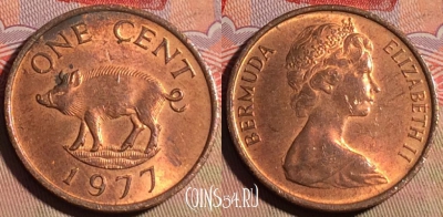Бермудские Острова 1 цент 1977 года, KM# 15, 215a-016