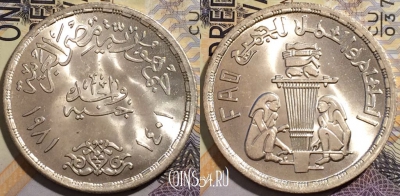 Египет 1 фунт 1981 года, ФАО, Ag, KM# 532, a106-028