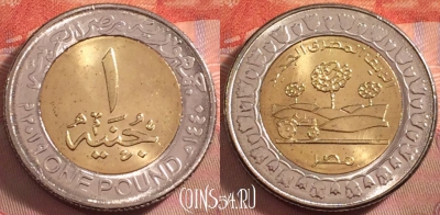Египет 1 фунт 2019 года (٢٠١٩), UNC, 105k-002