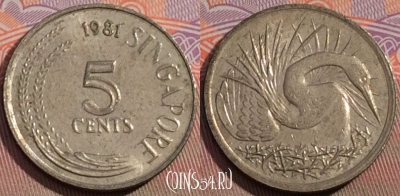 Сингапур 5 центов 1981 года, KM# 2, 104c-144