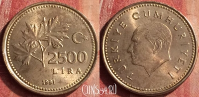 Турция 2500 лир 1991 года, KM# 1015, 401-009