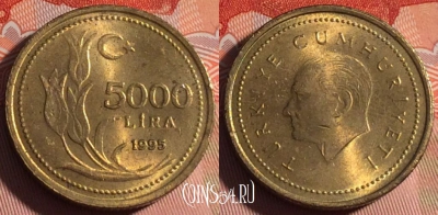 Турция 5000 лир 1995 года, KM# 1029.1, 224a-100