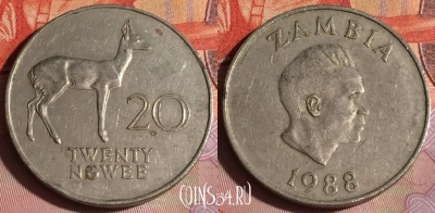 Замбия 20 нгве 1988 года, КМ# 13, 275c-031
