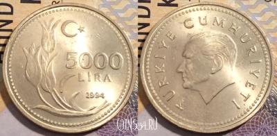 Турция 5.000 лир 1994 года, KM# 1025, 197-032
