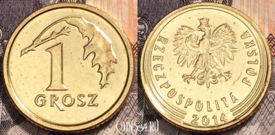 Польша 1 грош 2014 года, Y# 923, 093-015