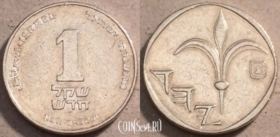 Израиль 1 новый шекель 1985 (ה