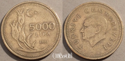 Турция 5.000 лир 1994 года, KM# 1025, 98-134