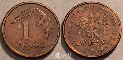 Польша 1 грош 2009 год, Y# 276, 97-016