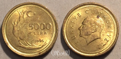 Турция 5.000 лир 1996 года, KM# 890a, 99-112