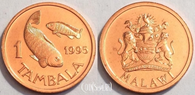 Малави 1 тамбала 1995 UNC, 74-005a