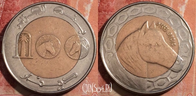 Алжир 100 динаров 1993 года, KM# 132, 229-102