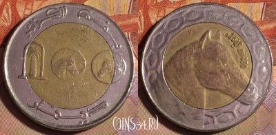 Алжир 100 динаров 2009 года, KM# 132, 253b-102 ♛