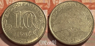 Аргентина 10 песо 2019 года, 495р-076