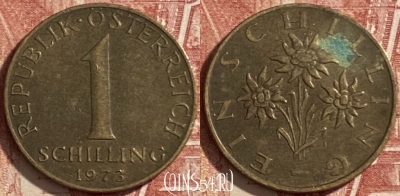 Австрия 1 шиллинг 1973 года, KM# 2886, 483р-105