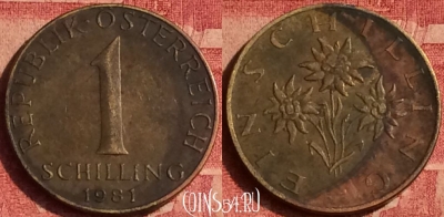 Австрия 1 шиллинг 1981 года, KM# 2886, 383o-078