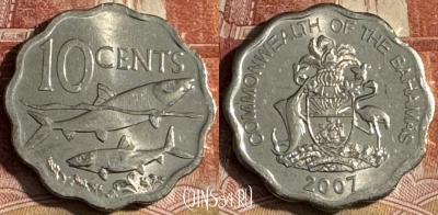 Багамские Острова 10 центов 2007 года, KM# 219, s176t-026